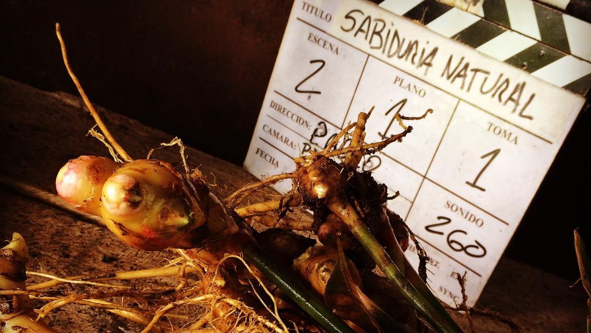 Sabiduria natural